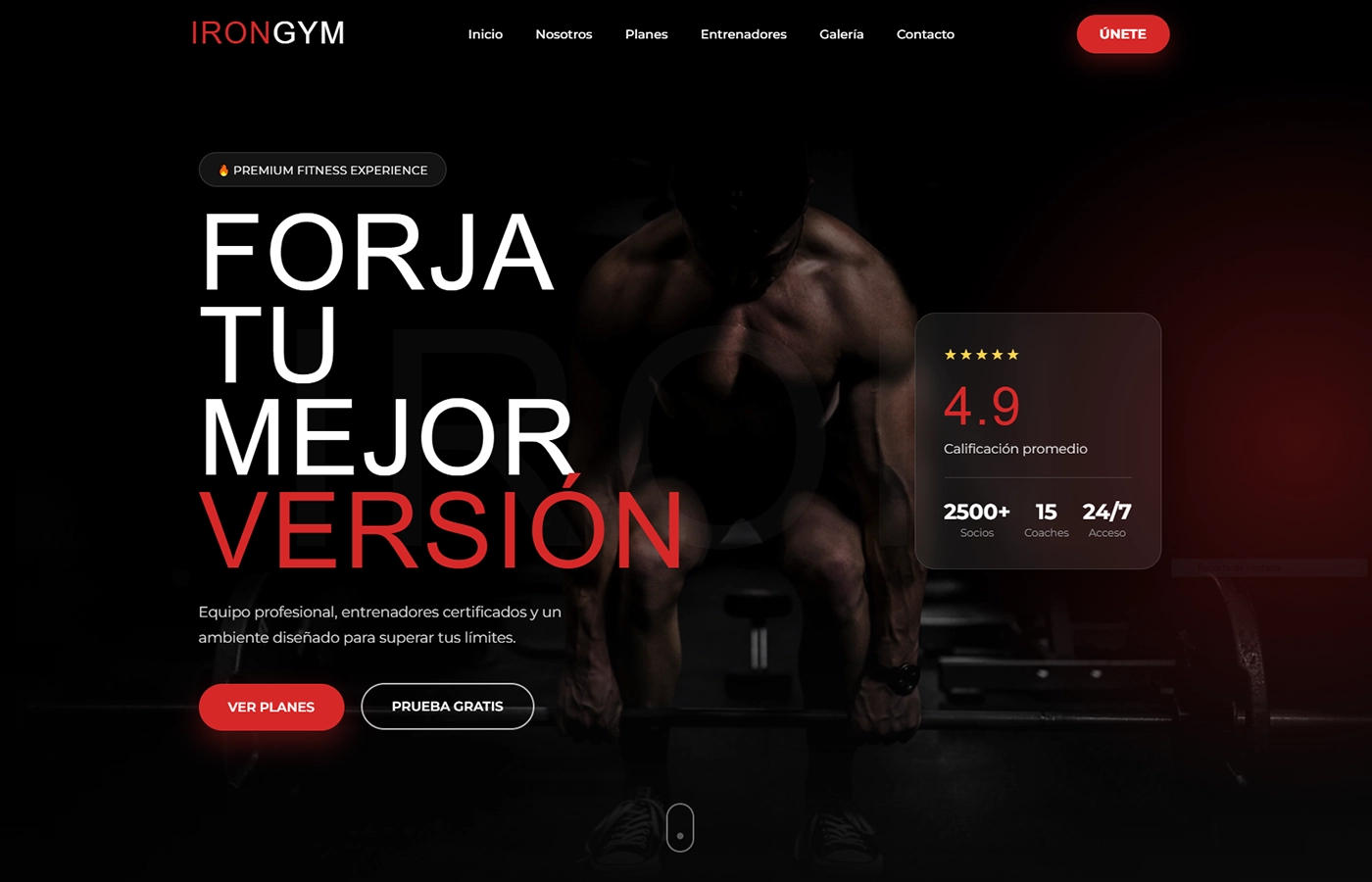 Sitio web de Iron Gym diseñado por Laren